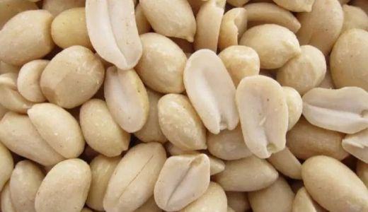 Waduh Harga Kacang Tanah di Sumut Mulai Naik - GenPI.co SUMUT