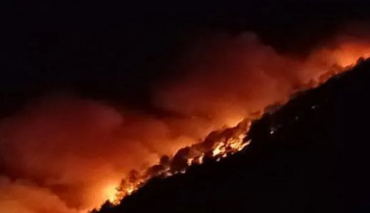 1 Orang Meninggal dalam Kebakaran Hutan di Sumut - GenPI.co SUMUT