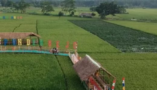 Menikmati Suasana Desa di Wisata Sawah Punden Rejo - GenPI.co SUMUT