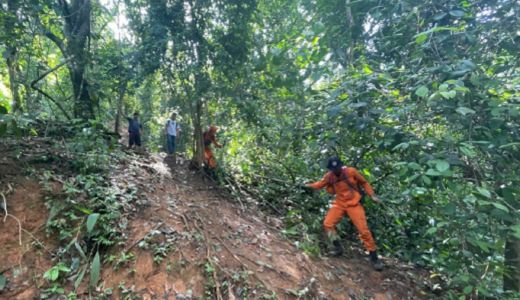 7 Hari di Hutan, Basarnas Medan Hentikan Pencarian Warga - GenPI.co SUMUT