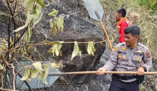 Kebakaran Sumut: Lahan 10 Hektare Terbakar di Simalungun - GenPI.co SUMUT