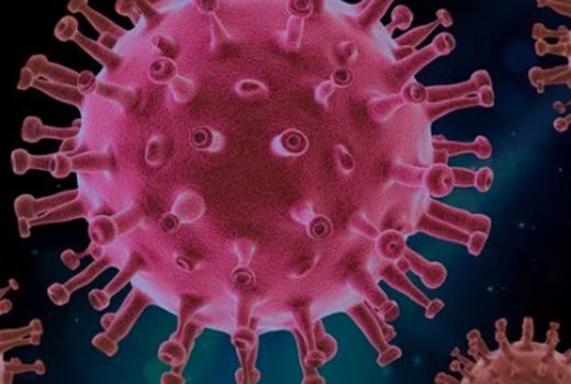 Jangan Lengah! Ganasnya Virus Corona India Terbukti di Cilacap - GenPI.co
