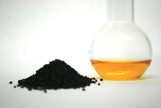 Manfaat Jintan Hitam, Harta Karun untuk Penderita Diabetes - GenPI.co