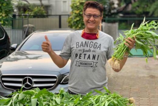 Bercocok Tanam bagi Pemula, Baiknya Hidroponik atau Konvensional? - GenPI.co