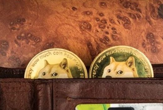 Kripto Dogecoin Menyalak, Harga Melejit & Bukan Karena Elon Musk - GenPI.co