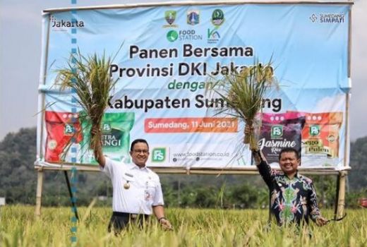 Anies Sibuk Pelesiran, Pengamat : Oportunis Sebaiknya Dijegal - GenPI.co