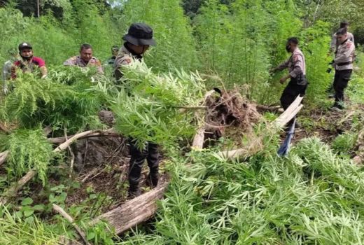 Geger, Kampung Narkoba di Palembang Digerebek Polisi - GenPI.co