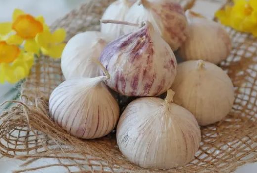 Geprek Bawang Putih Tunggal Khasiatnya Mencengangkan, Siap Goyang - GenPI.co
