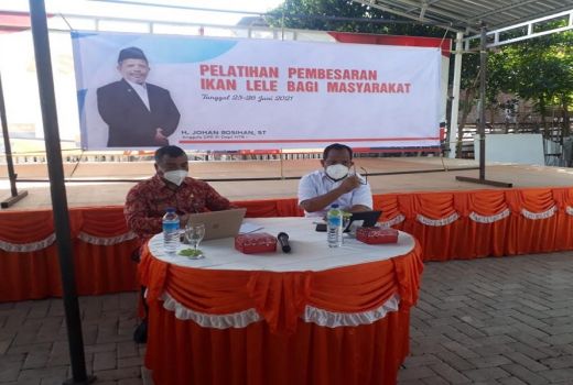 Budi Daya Lele Mampu Bertahan di Tengah Pandemi Covid-19 - GenPI.co