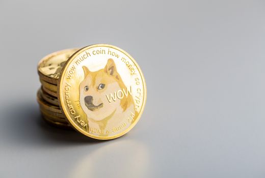 2022, Dogecoin dan Shiba Inu Diprediksi Terpuruk - GenPI.co