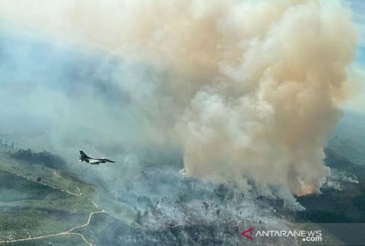 Mengejutkan, Pulau Burung di Riau akan Dijual ke Investor - GenPI.co