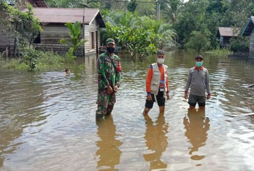 Pintu Air Pasar Ikan Siaga Dua, BPBD DKI Minta Warga Waspada - GenPI.co