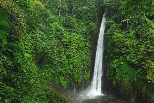 Serpihan Surga di Kalimantan Utara, Bisa Bikin Lupa Pulang - GenPI.co