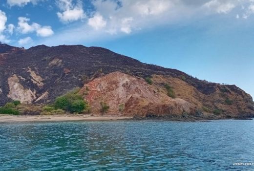 Cuaca Panas, 10 Hektare Lahan di TN Komodo Terbakar - GenPI.co