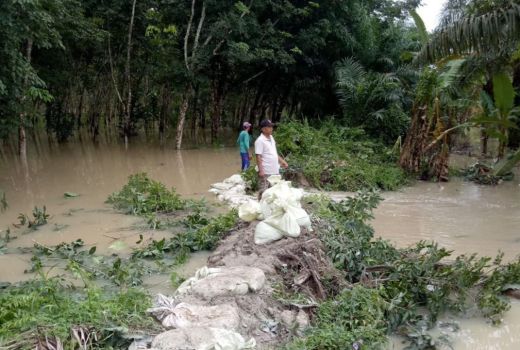 Banjir Sumatera Utara, Perahu Karet dan Tenda Darurat Kosong - GenPI.co