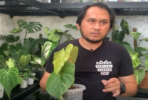 Taman Rumahnya Banyak Dilirik, Deni Kini Pebisnis Tanaman Sukses - GenPI.co