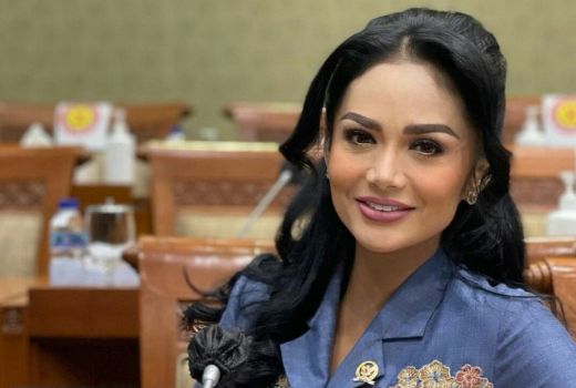 Terkuak! Ini Alasan Krisdayanti Bercerai dengan Anang Hermansyah - GenPI.co