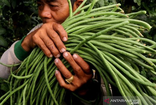 Pemko Batam Gandeng Pemkab Simalungun, Jawab Ketersediaan Pangan - GenPI.co