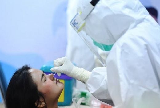 Motif Mafia Test PCR Diungkap Relawan Jokowi, Ternyata Begini - GenPI.co