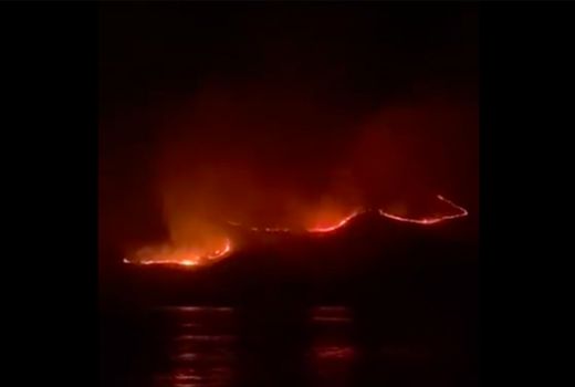 Kebakaran Terjadi di Pulau Rinca, Bagaimana Nasib Komodo? - GenPI.co