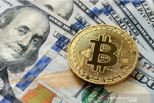 MUI Sebut Kripto Haram, Bos Indodax Bongkar Data Mengejutkan - GenPI.co