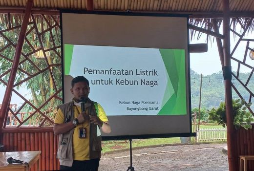 Electrifying Agriculture dari PLN Bantu Petani Lebih Produktif - GenPI.co