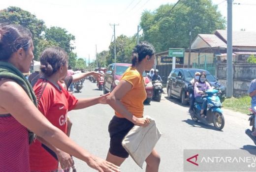 Gempa dan Peringatan Tsunami Bikin Ribuan Warga Sikka Panik - GenPI.co