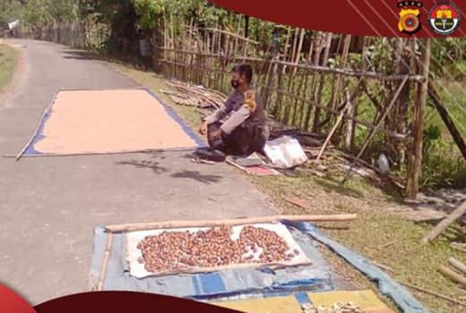 Viral Polisi Jaga Gabah di Aceh, Tujuannya Mulia - GenPI.co