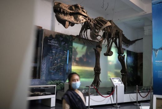Pemko Tanjung Pinang Ingin Museum Jadi Objek Wisata Alternatif - GenPI.co