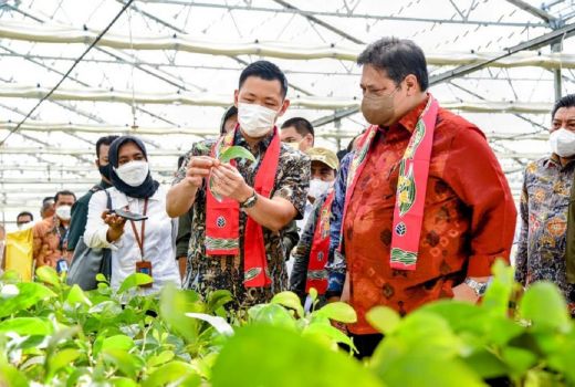 Menko Airlangga Dorong Akselerasi Pertumbuhan Green Economy - GenPI.co
