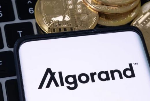 Rekomendasi Kripto: Algorand Meroket, Ayo Koleksi Bosku - GenPI.co