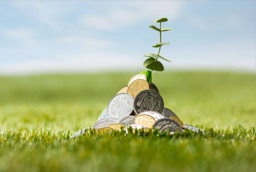 Kurangi Beban Pencemaran Lingkungan dengan Ekonomi Sirkular - GenPI.co
