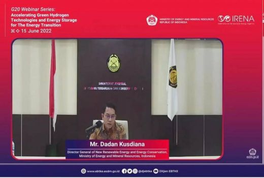 Indonesia Dorong Pemanfaatan Biofuel demi Green Economy - GenPI.co