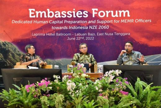 Yudo Dwinanda: G20 Dukung Kemajuan Transisi Adil dan Aman - GenPI.co