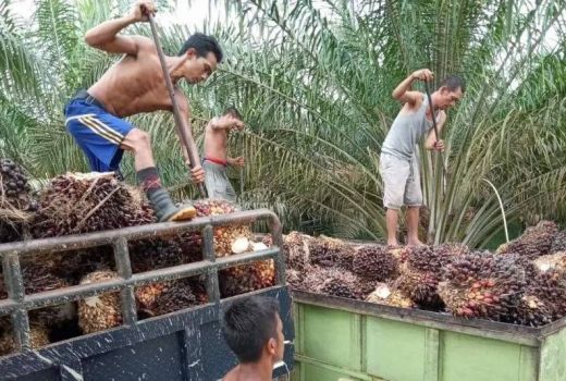 Kejagung Ngaku Geledah Kantor KLHK, Kasus Apa? - GenPI.co