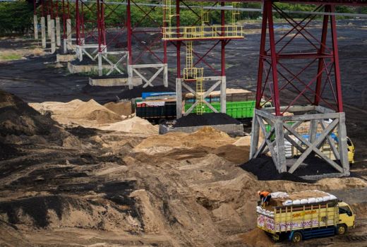 PLN Perkuat Rantai Pasokan Biomassa untuk PLTU - GenPI.co
