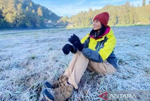 Tak Perlu ke New Zealand, Embun Salju Bisa Dirasakan di Lumajang - GenPI.co