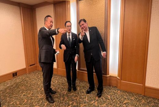 Menko Airlangga Tawarkan Jepang Investasi KEK Kesehatan di Bali - GenPI.co