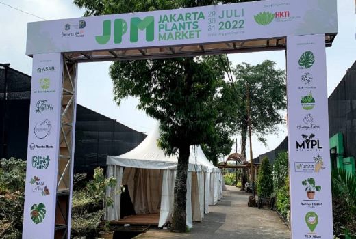 Keren, JPM Gairahkan Kembali Minat Terhadap Tanaman Hias - GenPI.co