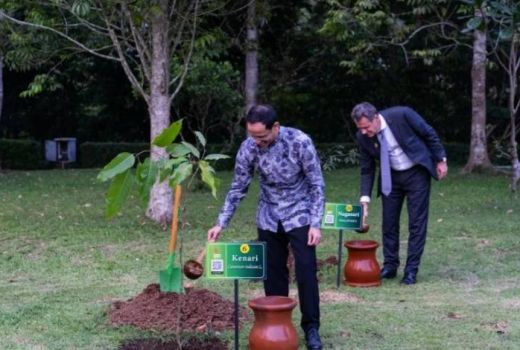 5 Jenis Benih Pohon Ditanam Delegasi G20 di Pelataran Borobudur - GenPI.co