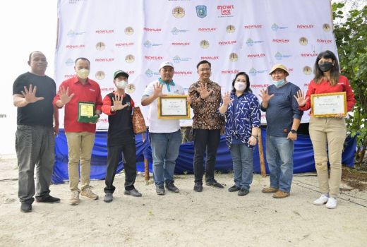 KLHK Gandeng Mowilex Tanam 10.000 Bibit Mangrove di Belitung - GenPI.co
