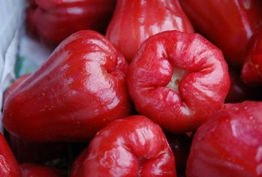 Raih 5 Manfaat Jambu Kepal, Bantu Turunkan Demam dan Diabetes - GenPI.co