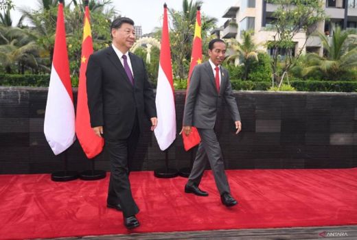 Pakar HI Sebut Jokowi Sukses Jalankan Misi Perdamaian Dunia - GenPI.co