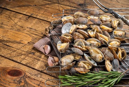 3 Manfaat Makan Kerang untuk Ibu Hamil - GenPI.co