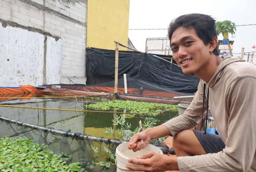 Bisnis Ternak Ikan Air Tawar di Dekat Rumah, Cuan Wahid Mengalir Deras - GenPI.co