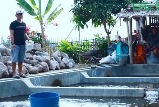 Nggak Malu Bisnis Ternak Ikan, Indra Kini Punya Puluhan Kolam - GenPI.co