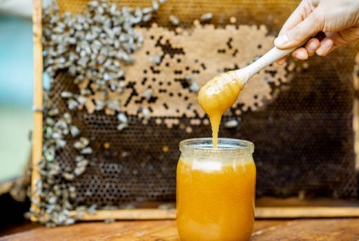 Manfaat Dahsyat Madu Manuka untuk Kesehatan, Jangan Sampai Keliru - GenPI.co