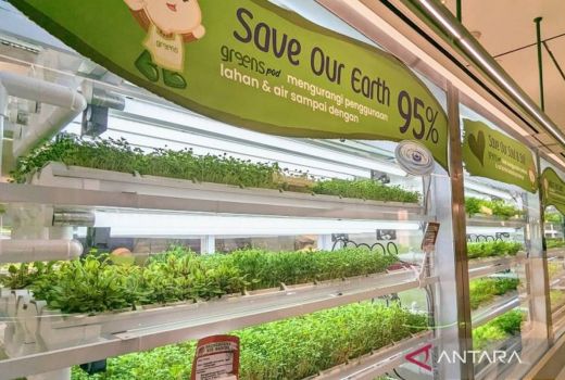 Restoran Greens Jakarta Unik: Petik Dahulu, Lalu Dimakan - GenPI.co