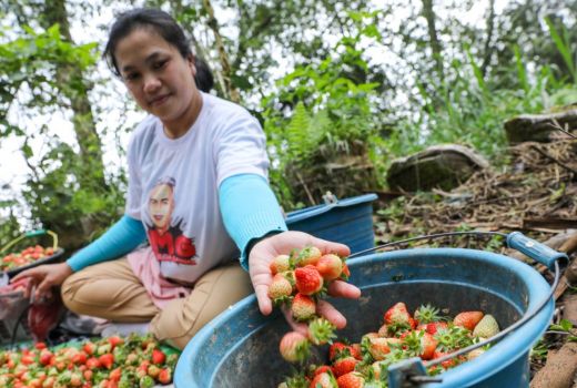 Gandeng Pemuda Bandung, Orang Muda Ganjar Ajarkan Pertanian Organik - GenPI.co