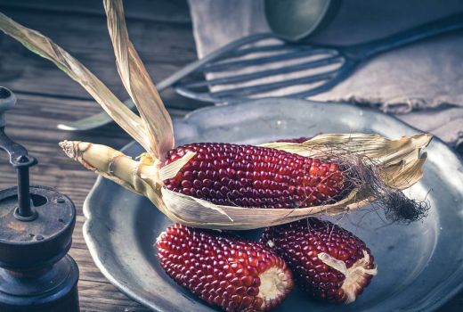 Manfaat Air Rebusan Jagung Ungu Bikin Gula Darah Terkendali, Diabetes Jadi Aman - GenPI.co
